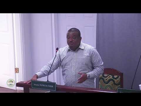 Senate Debates $70 Million CDB Loan for George Price Highway Upgrade PT 1