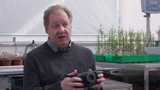 Næringarástand plantna greint.
