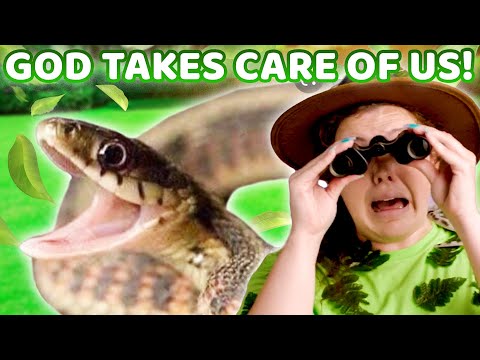 Witness21  2022 04 29