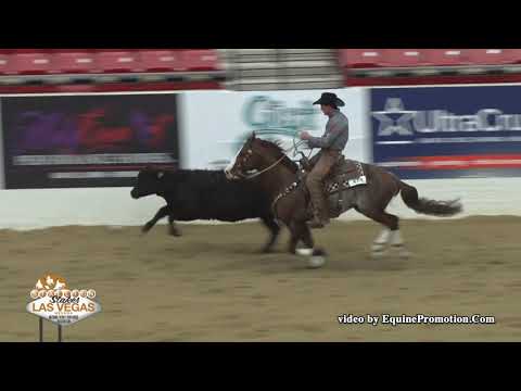 Brother Jackson ridden by Zane P. Davis  - 2019 NRCHA Stallion Stakes (Cow Work, Open Bridle Spec.)