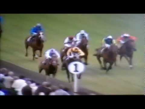 A few flat racing finishes........