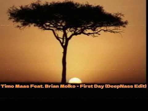 Timo Maas feat. Brian Molko - First Day (DeepNass Edit)
