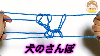 あやとり 犬の散歩 耳の大きな犬 の作り方 難しい上級あやとりを分かりやすく 音声解説あり String Figure ばぁばのあやとり تنزيل الموسيقى Mp3 مجانا