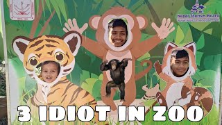 Download lagu 3 idiot is visiting zoo - Visiting zoo with family -Central Zoo #ASHIK(VLOG) mp3 Download lagu 3 idiot is visiting zoo - Visiting zoo with family -Central Zoo #ASHIK(VLOG) mp3