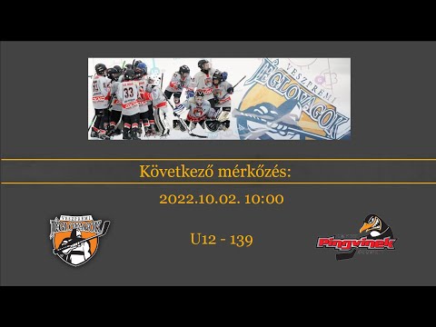 2022-2023 U12-139: Veszprémi Jéglovagok vs. Szombathelyi Pingvinek