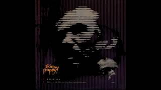 Skinny Puppy - Deep Down Trauma Hounds (Remix) (B2)