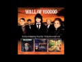 Wall Of Voodoo - Mona