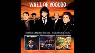 Wall Of Voodoo - Mona