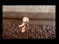 A Robot Dancing On Fx Guru