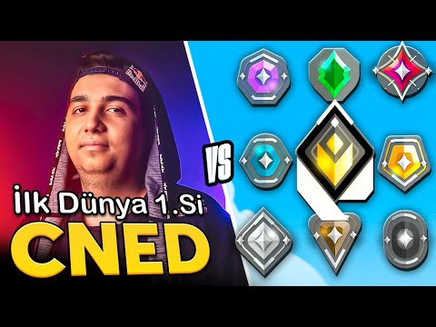 World Champion CNED vs ALL RANKS! | Valorant