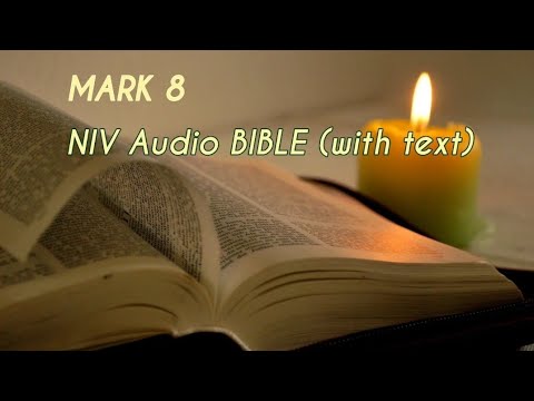 Mark 8 : NIV Audio BIBLE (with text)