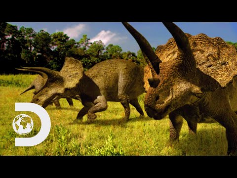What Did South Dakota Look Like 65 Million Years Ago? | When Dinosaurs Roamed America