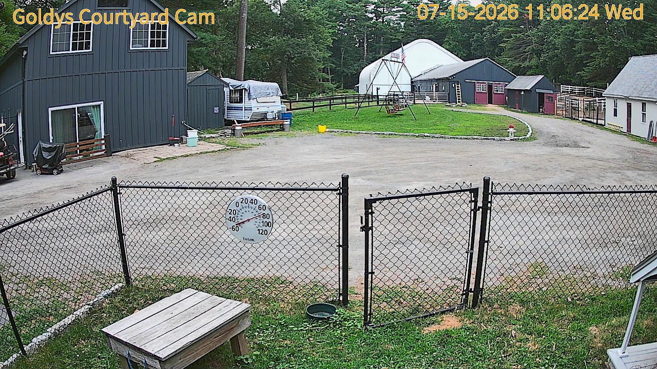 Live webcam view of Goldy's Farm Courtyard Cam
