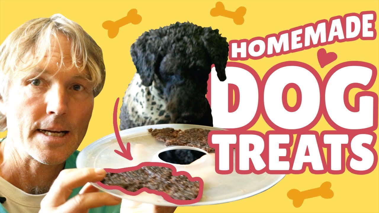 A Vet's Recipe for Dog-Safe Beef Jerky