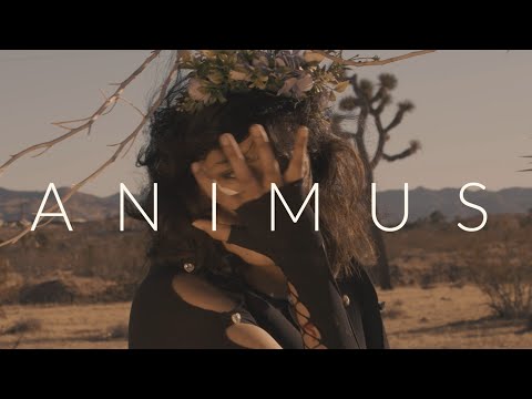 Freycus - Animus [Official Music Video]