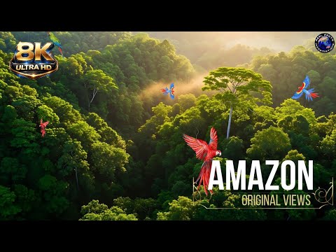 Wild Amazon in 8K: Amazing Rainforest & Animals | Nature Sounds | Relaxing Music | Amazon Wildlife