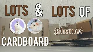 Things to make out of cardboard for your pets // Guinea Pigs And Rabbits