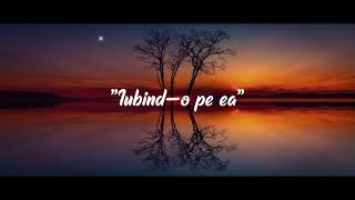 Yenic -  Iubind-o pe ea  (Lyrics Video)