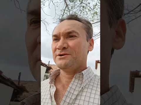 Choro limão ceará Brasil terra de meu Deus povo do nordeste trabalhador.