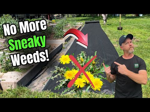 How to Install Weed Barrier Landscape Fabric the RIGHT Way | Stop Sneaky Weeds for Good!