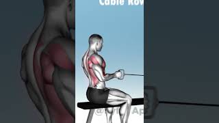 🔥 Top 5 Back Exercises With Cables