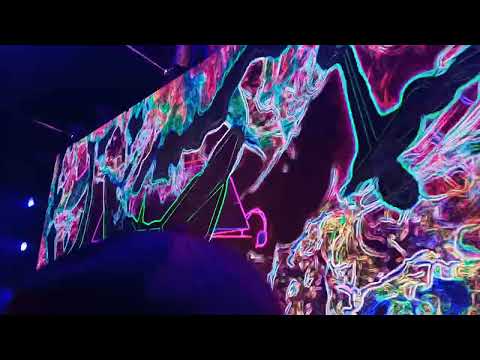 9. Audiolake nad Zalewem Radkowskim. Fragmencik występu Vincenta Vika.