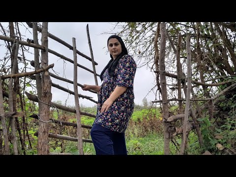 Village life in Iran/Making (Baslogh) A traditional sweet
