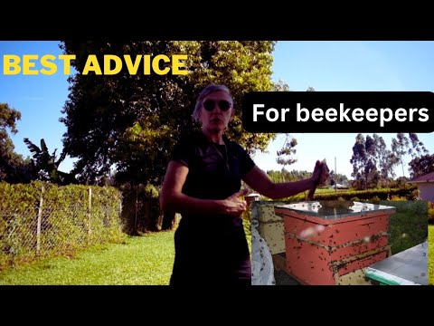 , title : 'French 🇫🇷 Beekeeper Give Best advice For Beekeeping In Africa. DON'T STAND INFRONT OF THE DOOR HIVE'