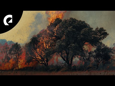 Tape Machines - Seize It