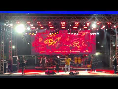 Louro José no São Pedro de Itiruçu Bahia 