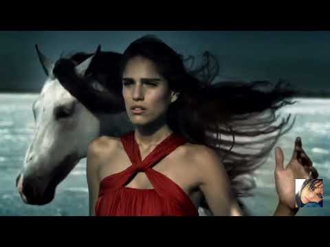 Daniel Van Sand feat. Nina Sung ~ Slipping Within ( Turn Dub)