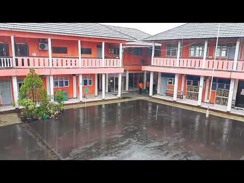 Walking in the rain: Refresh  your mind with nature