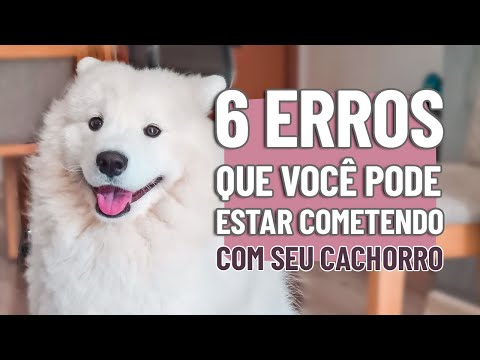 Vídeo YouTube