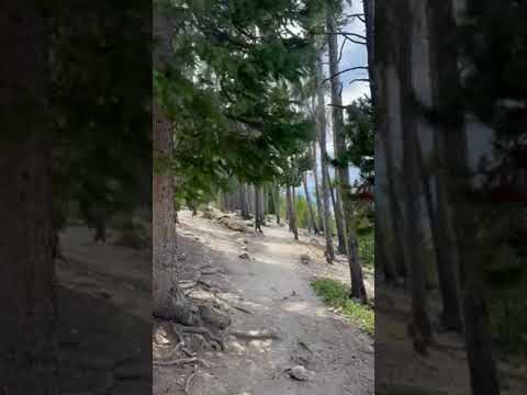 Trail around the lake