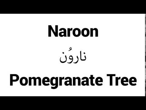 How to Pronounce Naroon! - Middle Eastern Names