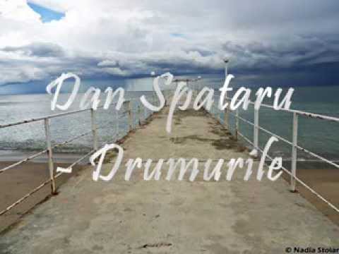 Dan Spataru - Drumurile(prima imprimare)