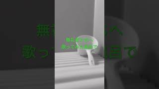 勢いで「無礼者たちへ」歌ってみた風呂で(アカペラ注意) #歌ってみた #アカペラ