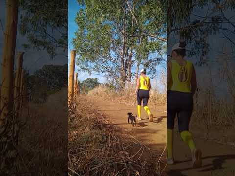 Caminhada sertaneja Comunidade Santa Rita município Vianópolis Goiás Brasil