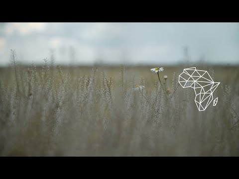 Kid Fonque X Jonny Miller - Soulfully Broken Ft Sio [Deep House / Stay True Sounds]