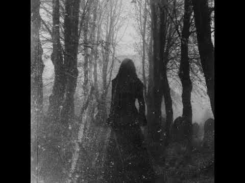 EHCAPA - EXTERNALiNFLUENCE