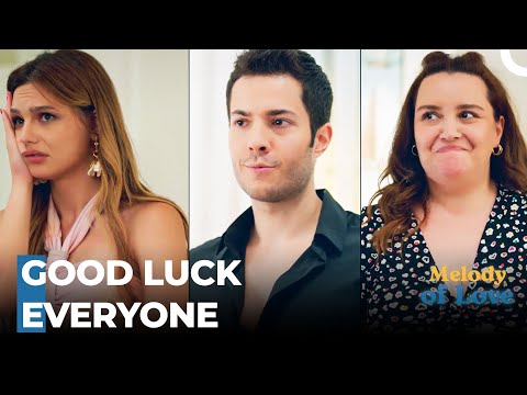 Let the Wedding Preparations Begin Then - Melody of Love