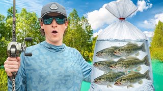 I Stocked My PRIVATE Pond For The First Time (New Species)