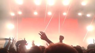 Bumble Bee - Zedd True Colors Amsterdam
