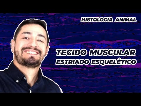 TECIDO MUSCULAR ESTRIADO ESQUELÉTICO
