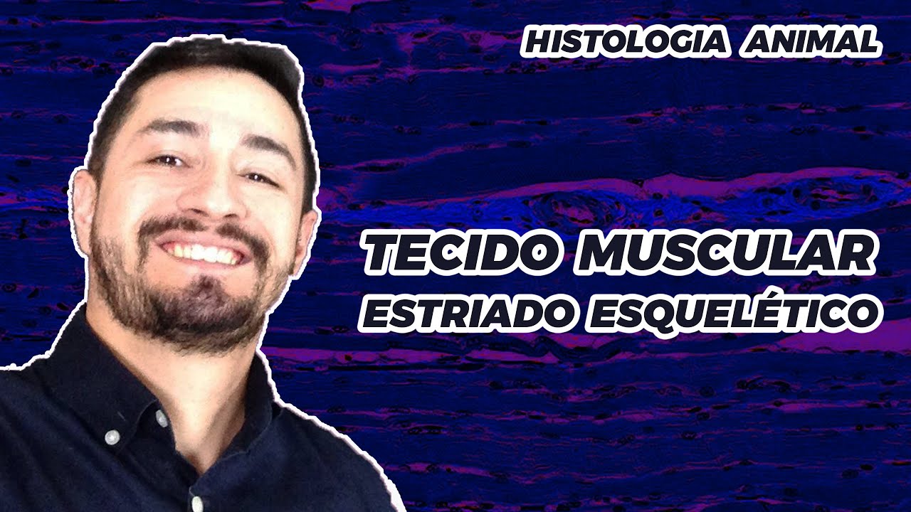 TECIDO MUSCULAR ESTRIADO ESQUELÉTICO