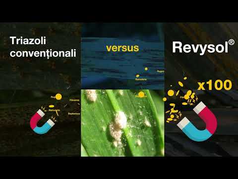 Revycare® - Asigură protecție maximă împotriva bolilor foliare și ale spicului (2)