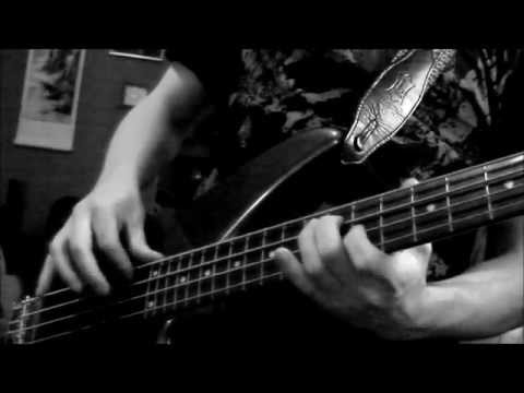 Orion bass cover with solo