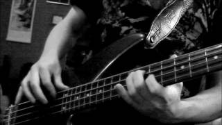 Orion bass cover with solo