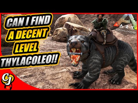 The Search For A High Level THYLACOLEO Begins With Scorcher!! || Ark Story Unmodded Ep 66!