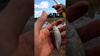 aqui é um pescador raiz de verdade-shorts